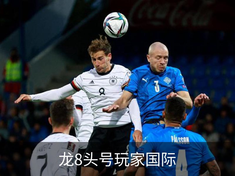 龙8头号玩家国际概况