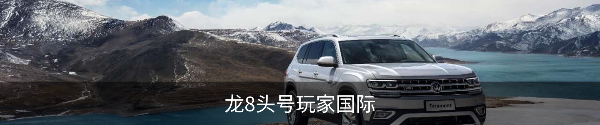 龙8头号玩家国际